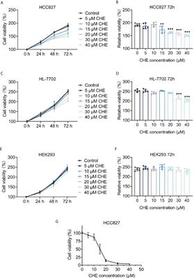 Using Liposomes to Alleviate the Toxicity of Chelerythrine, a Natural PKC Inhibitor, in Treating Non-Small Cell Lung Cancer